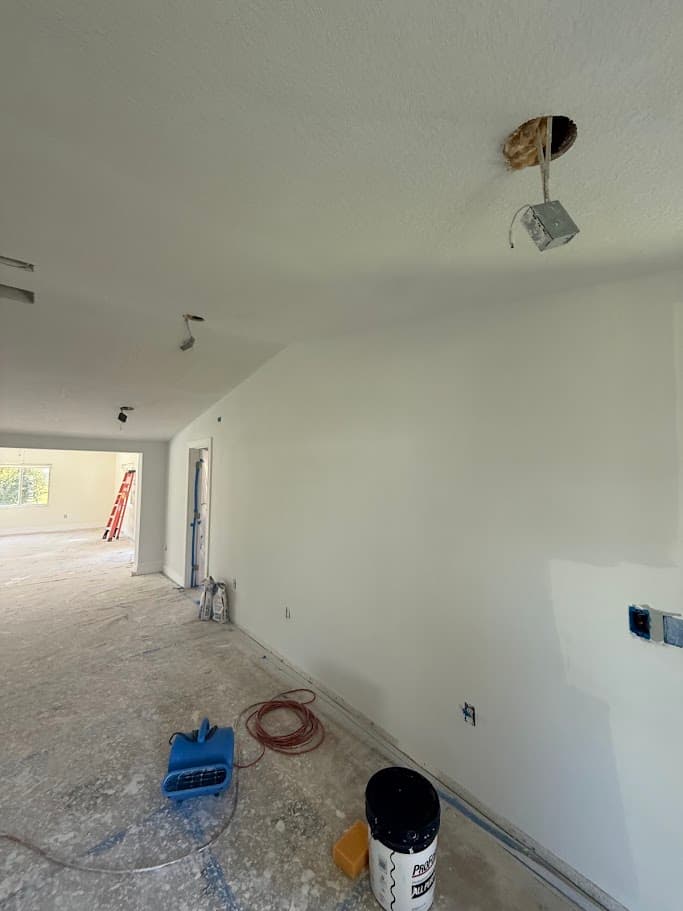 Ceiling Repair